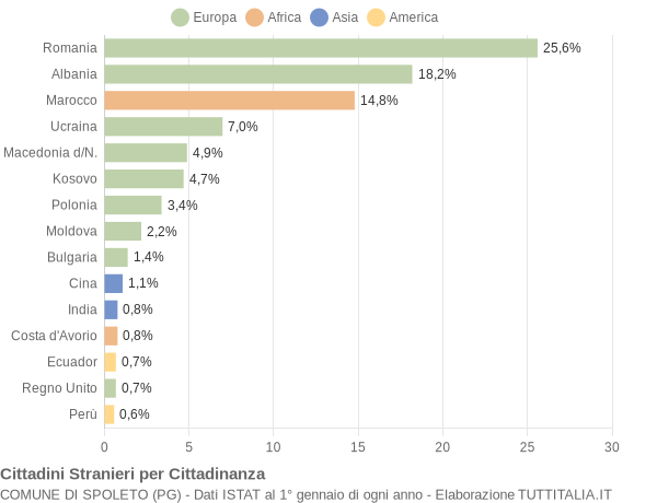 Grafico cittadinanza stranieri - Spoleto 2019