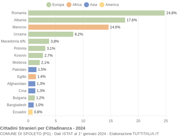 Grafico cittadinanza stranieri - Spoleto 2024