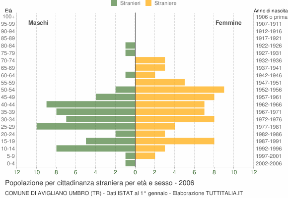 Grafico cittadini stranieri - Avigliano Umbro 2006