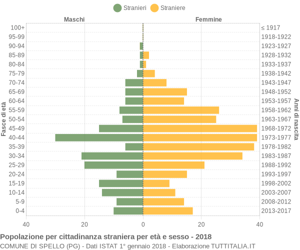 Grafico cittadini stranieri - Spello 2018