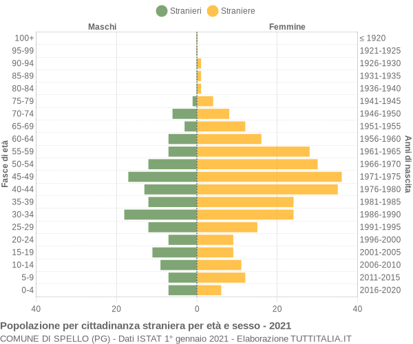 Grafico cittadini stranieri - Spello 2021