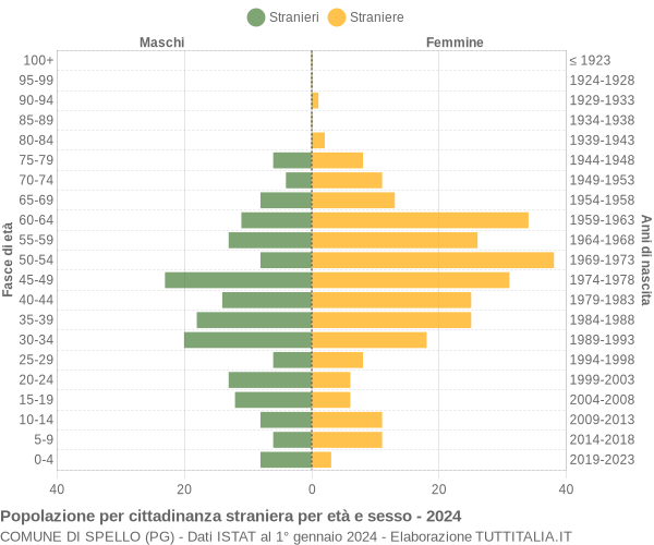 Grafico cittadini stranieri - Spello 2024