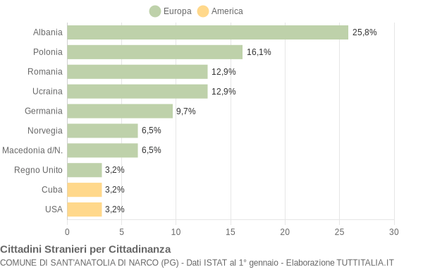 Grafico cittadinanza stranieri - Sant'Anatolia di Narco 2015