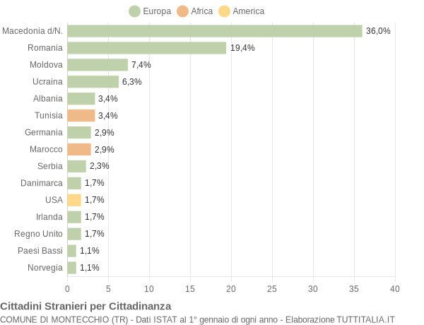 Grafico cittadinanza stranieri - Montecchio 2017