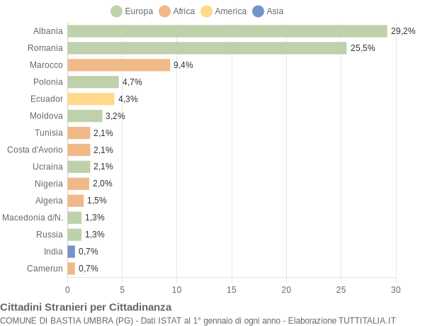 Grafico cittadinanza stranieri - Bastia Umbra 2008