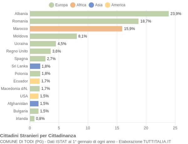 Grafico cittadinanza stranieri - Todi 2009