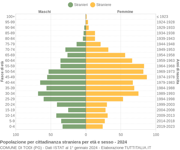 Grafico cittadini stranieri - Todi 2024