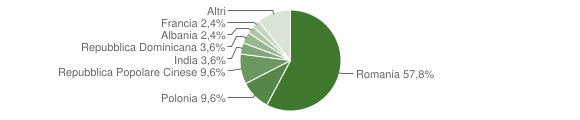 Grafico cittadinanza stranieri - Penna in Teverina 2013