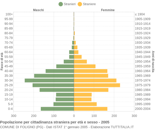 Grafico cittadini stranieri - Foligno 2005