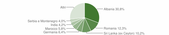 Grafico cittadinanza stranieri - Città della Pieve 2006
