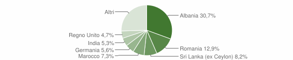 Grafico cittadinanza stranieri - Città della Pieve 2007