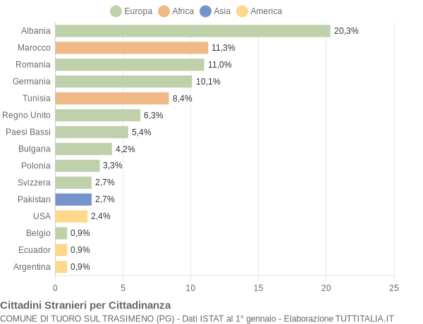 Grafico cittadinanza stranieri - Tuoro sul Trasimeno 2006