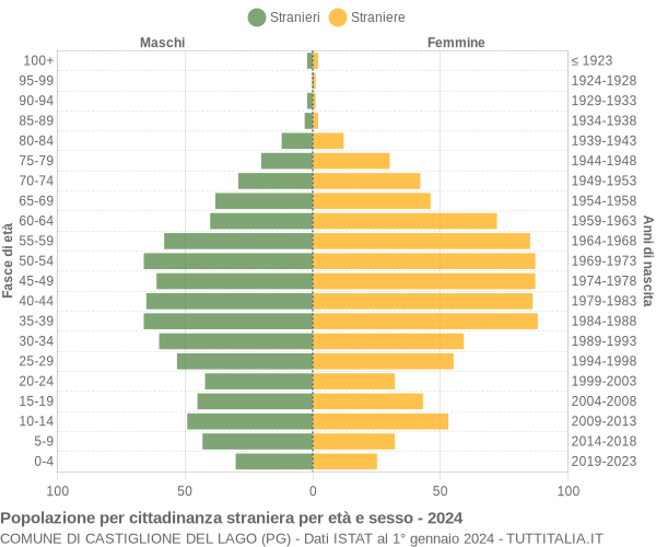 Grafico cittadini stranieri - Castiglione del Lago 2024