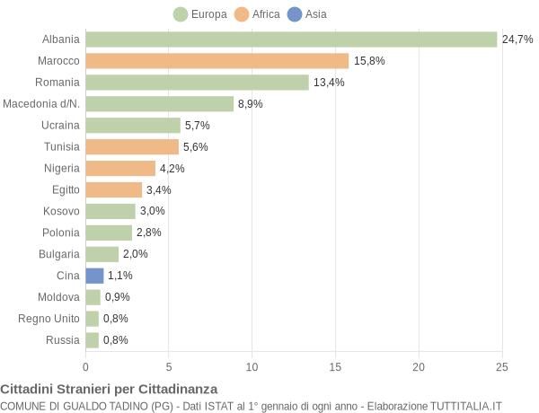 Grafico cittadinanza stranieri - Gualdo Tadino 2010