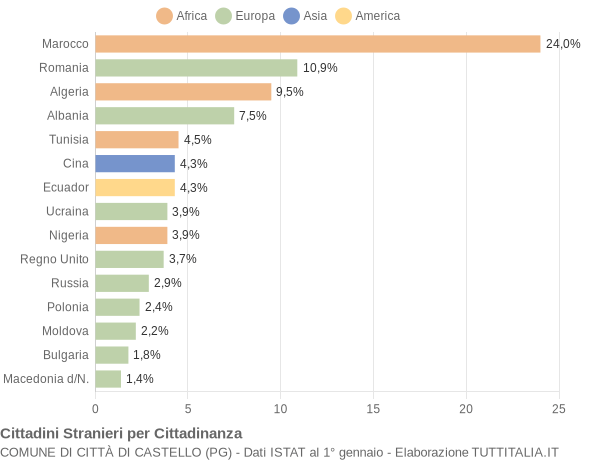 Grafico cittadinanza stranieri - Città di Castello 2005