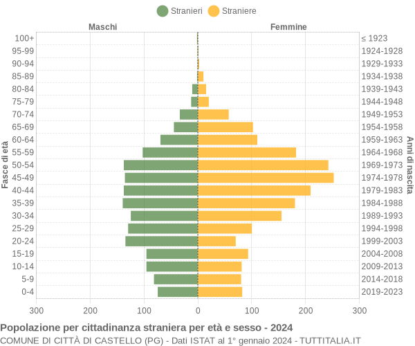 Grafico cittadini stranieri - Città di Castello 2024