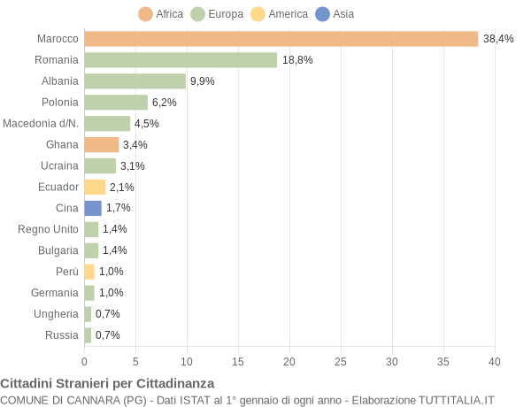 Grafico cittadinanza stranieri - Cannara 2008