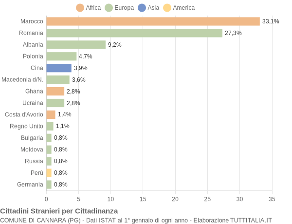 Grafico cittadinanza stranieri - Cannara 2009