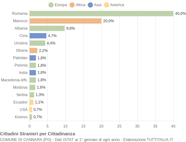 Grafico cittadinanza stranieri - Cannara 2018