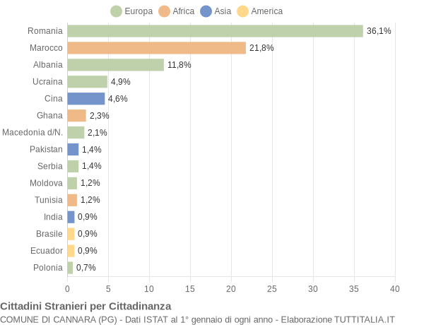 Grafico cittadinanza stranieri - Cannara 2021