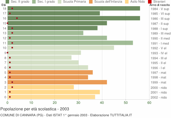 Grafico Popolazione in età scolastica - Cannara 2003