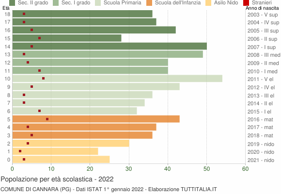 Grafico Popolazione in età scolastica - Cannara 2022