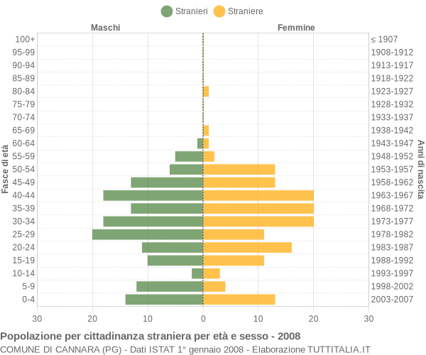 Grafico cittadini stranieri - Cannara 2008