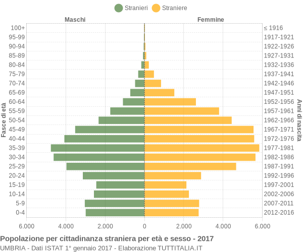 Grafico cittadini stranieri - 2017