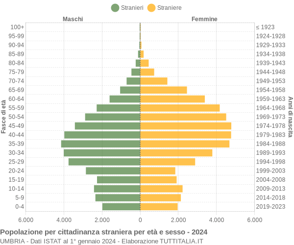 Grafico cittadini stranieri - 2024