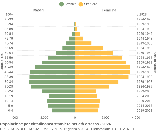 Grafico cittadini stranieri - 2024