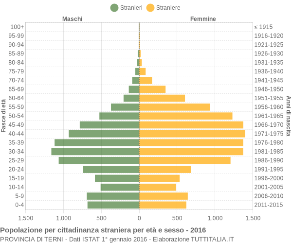 Grafico cittadini stranieri - 2016