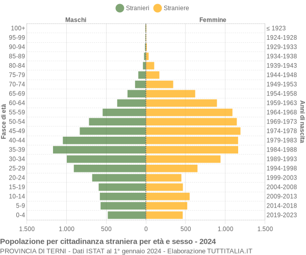 Grafico cittadini stranieri - 2024