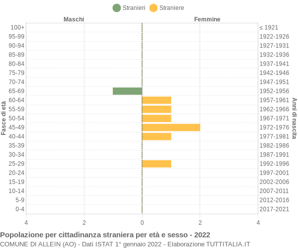 Grafico cittadini stranieri - Allein 2022