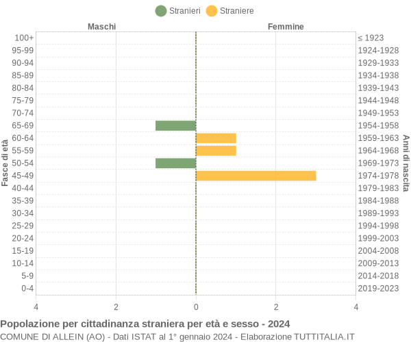 Grafico cittadini stranieri - Allein 2024