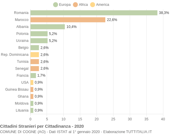 Grafico cittadinanza stranieri - Cogne 2020