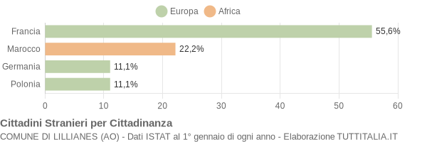 Grafico cittadinanza stranieri - Lillianes 2004