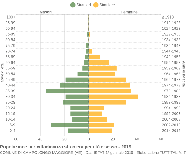 Grafico cittadini stranieri - Campolongo Maggiore 2019