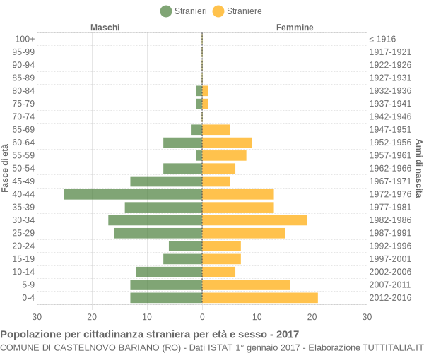 Grafico cittadini stranieri - Castelnovo Bariano 2017