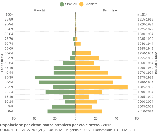 Grafico cittadini stranieri - Salzano 2015