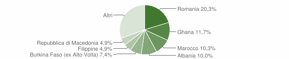 Grafico cittadinanza stranieri - Galliera Veneta 2010