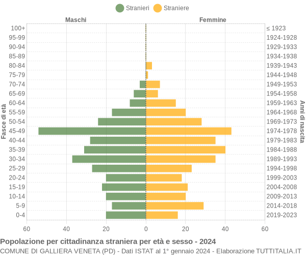 Grafico cittadini stranieri - Galliera Veneta 2024