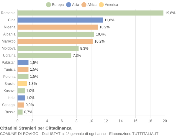 Grafico cittadinanza stranieri - Rovigo 2020