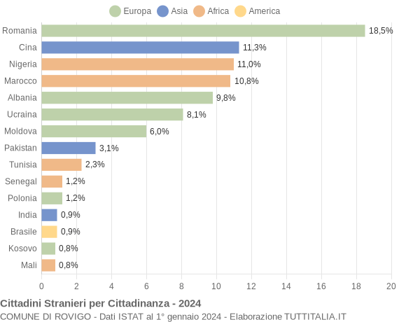 Grafico cittadinanza stranieri - Rovigo 2024