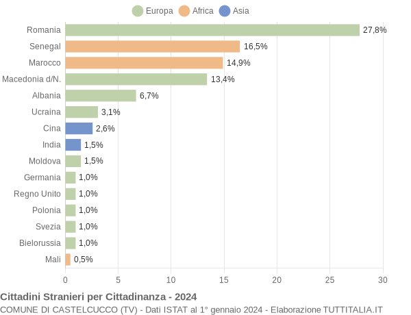 Grafico cittadinanza stranieri - Castelcucco 2024