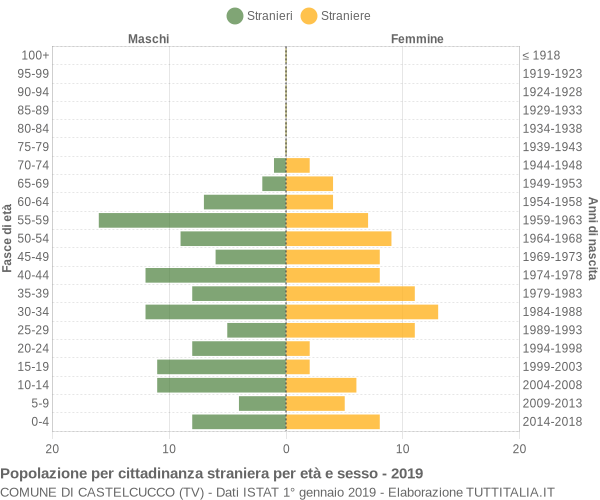 Grafico cittadini stranieri - Castelcucco 2019