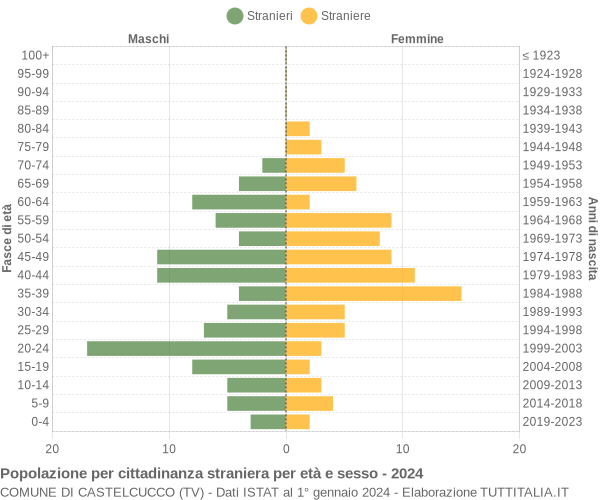 Grafico cittadini stranieri - Castelcucco 2024