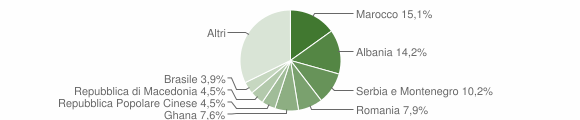 Grafico cittadinanza stranieri - Dueville 2006