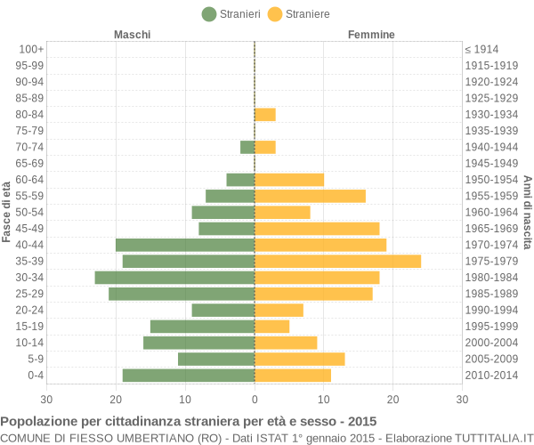 Grafico cittadini stranieri - Fiesso Umbertiano 2015