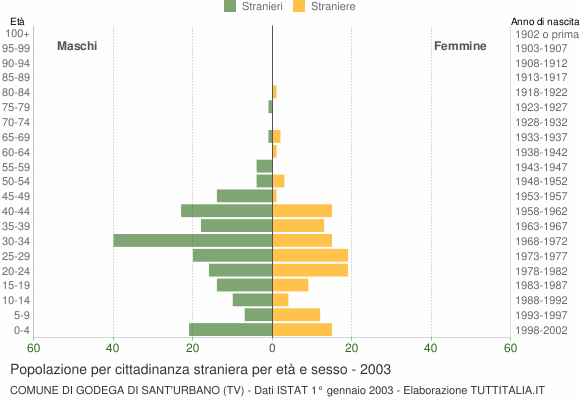 Grafico cittadini stranieri - Godega di Sant'Urbano 2003