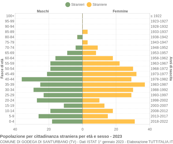 Grafico cittadini stranieri - Godega di Sant'Urbano 2023